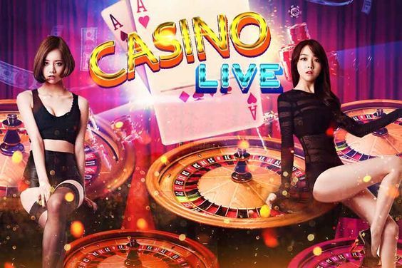 Tortuga Casino پاکستان ریئل منی گیمز